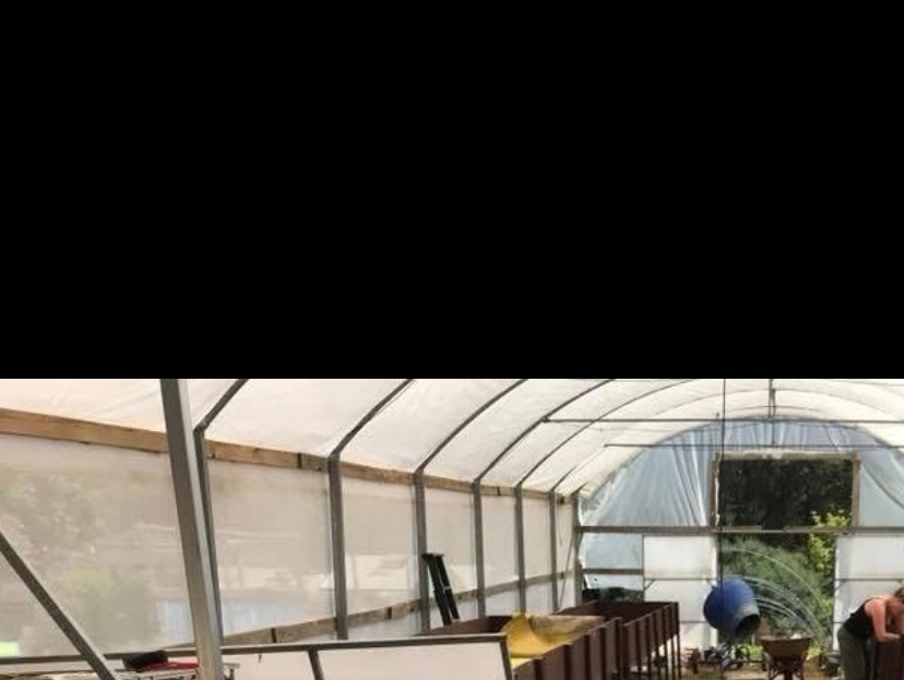 2018 aquaponics build