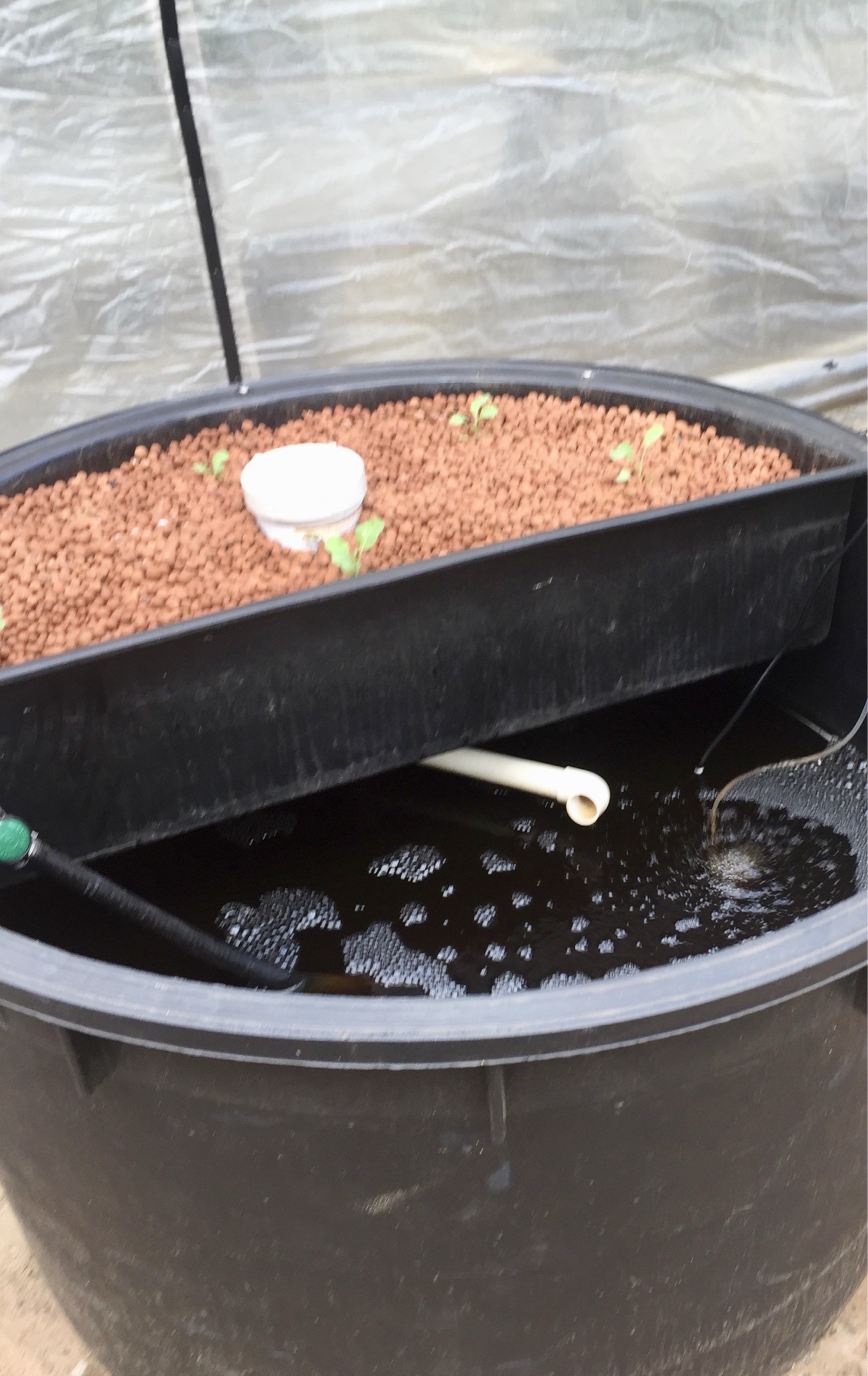 Murray Hallam demonstrating liner installation during aquaponics training