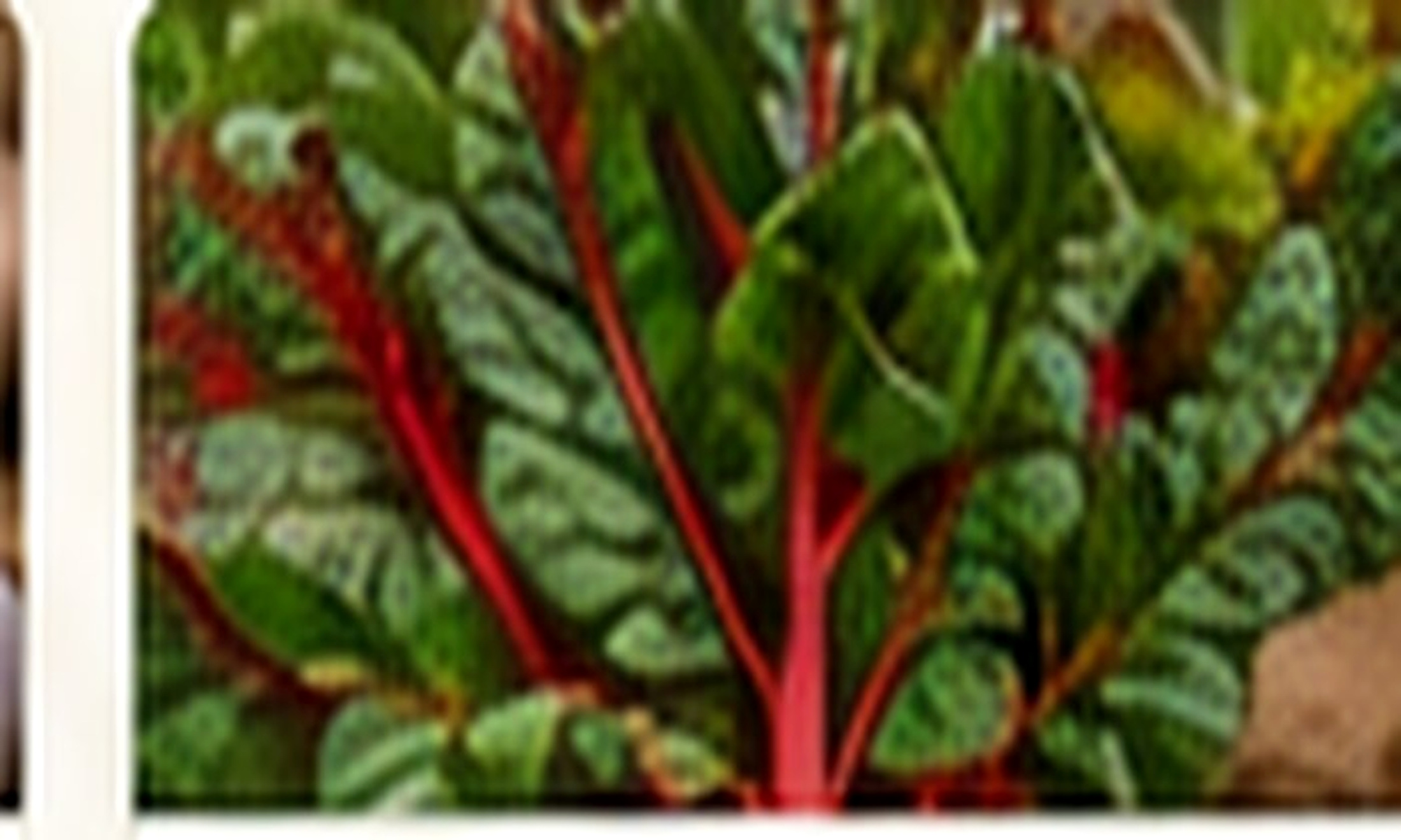Autumn — North East Planting Guide